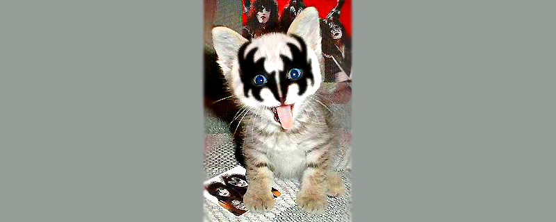 CAT’s nine lives of&nbsp;2011